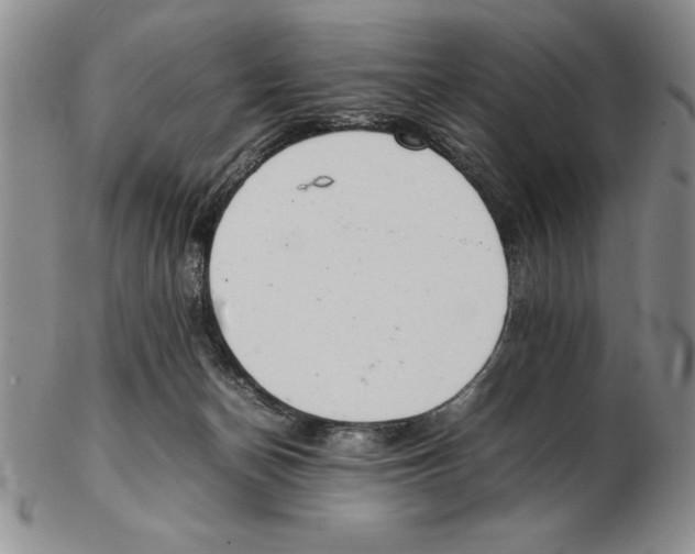 X0000102260174200808221423