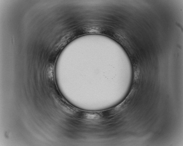 X0000102260175200808221423