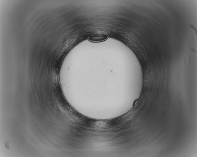 X0000102260176200808221423