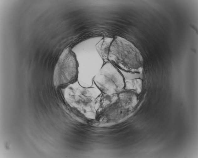 X0000102260177200808221423