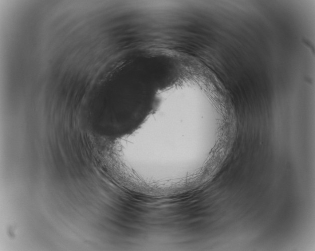 X0000102260179200808221423