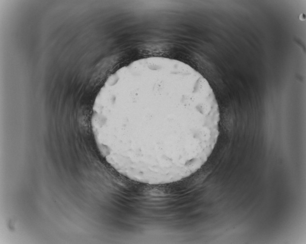 X0000102260181200808221423