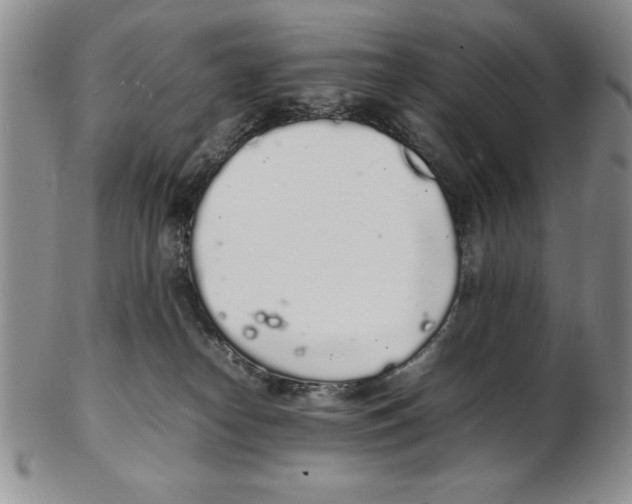 X0000102260182200808221423