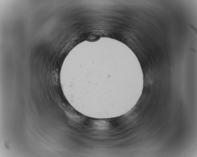 X0000102260183200808221423