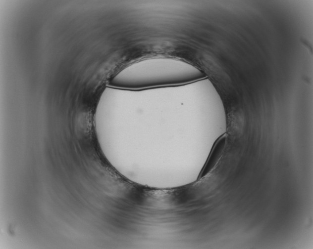 X0000102260184200808221424