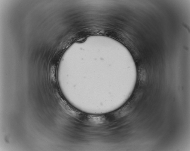 X0000102260185200808221424