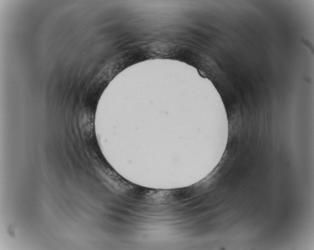 X0000102260186200808221424