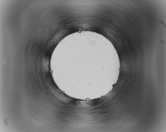X0000102260188200808221424