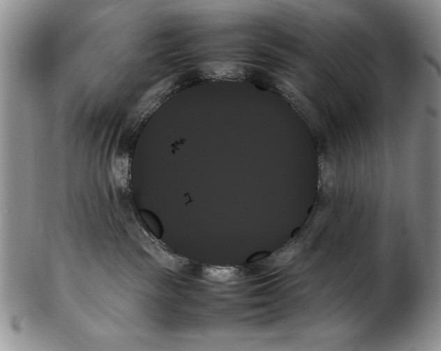X0000102260189200808221424