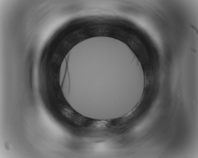 X0000102260190200808221424