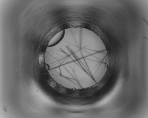 X0000102260191200808221424
