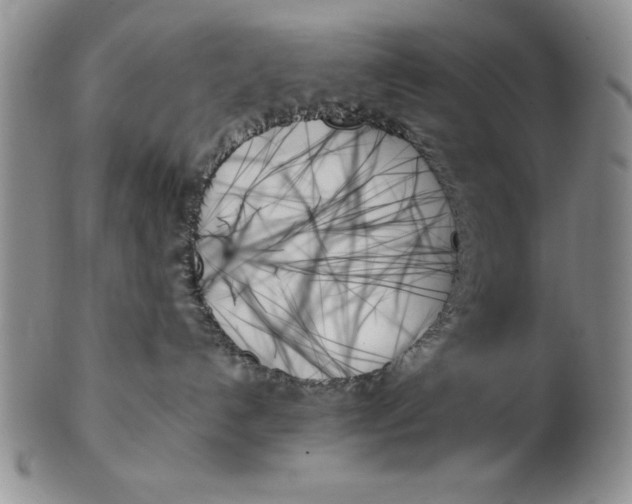 X0000102260192200808221424