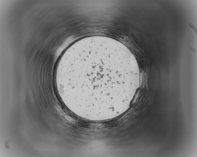 X0000102260195200808221423