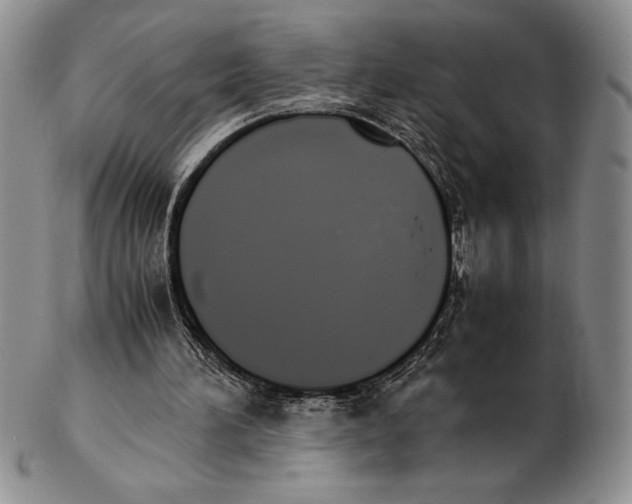 X0000102260196200808221423