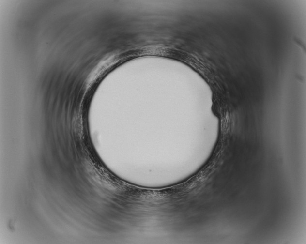 X0000102260198200808221423