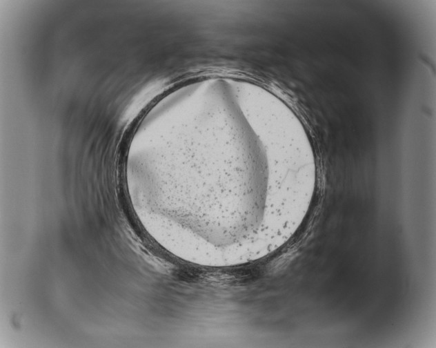 X0000102260199200808221423