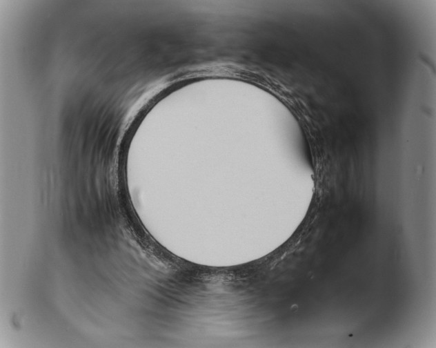 X0000102260200200808221423