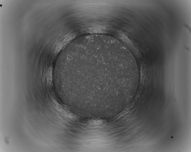 X0000102260202200808221423