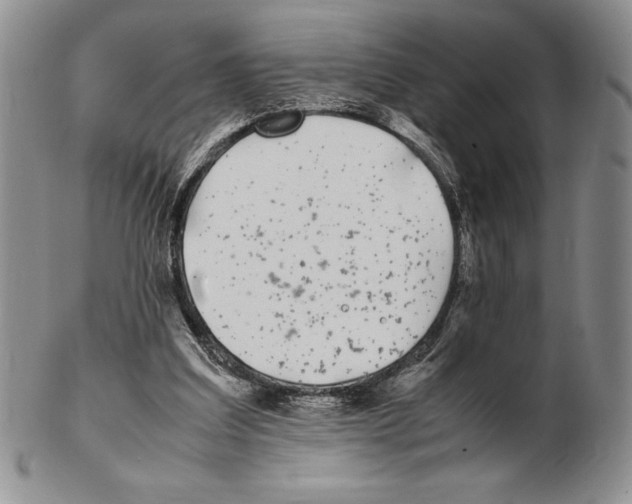 X0000102260203200808221423