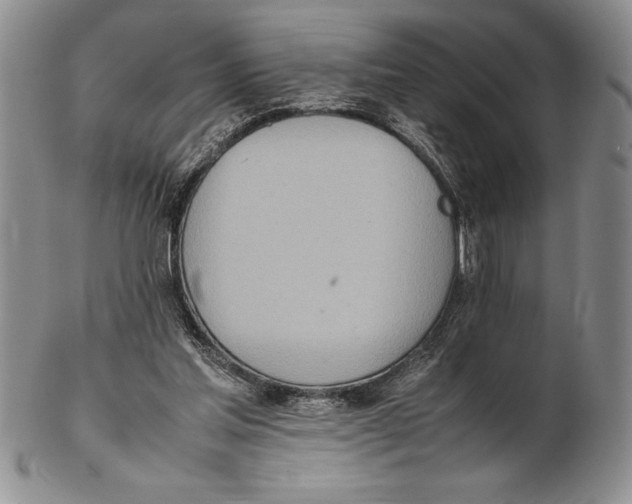 X0000102260205200808221423