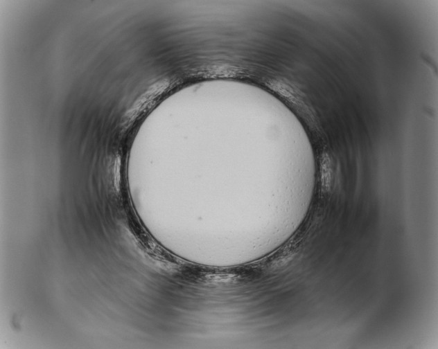 X0000102260206200808221423