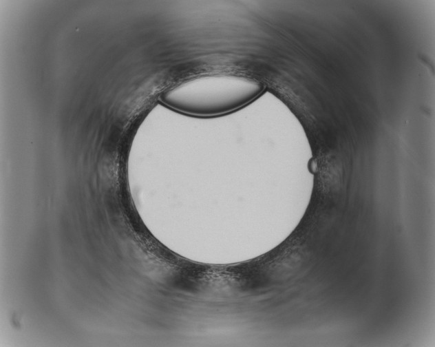 X0000102260207200808221423