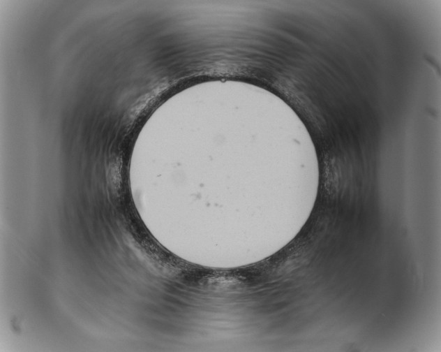 X0000102260208200808221423