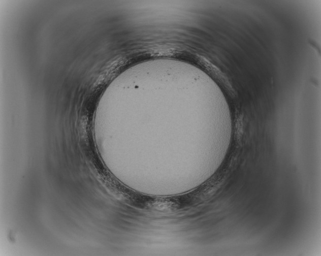 X0000102260209200808221423