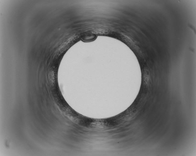 X0000102260211200808221422