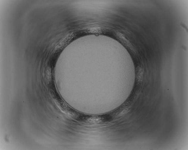 X0000102260213200808221422