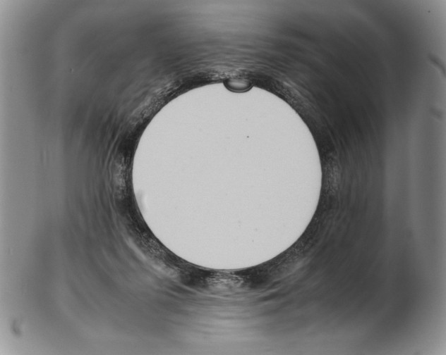 X0000102260215200808221422