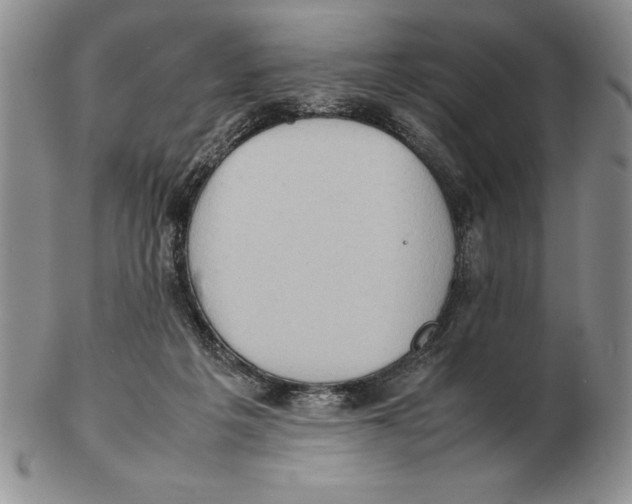 X0000102260217200808221422