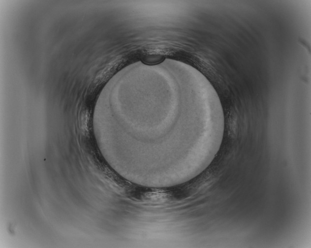 X0000102260219200808221422
