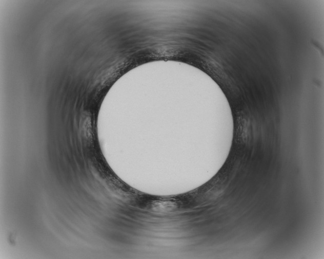 X0000102260220200808221422