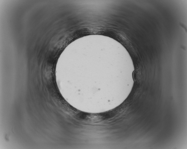 X0000102260221200808221422