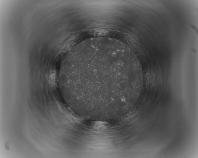 X0000102260222200808221422
