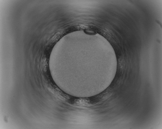 X0000102260223200808221422