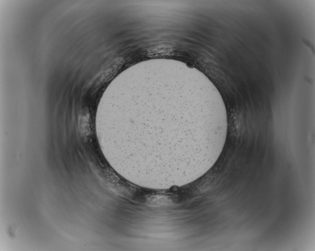 X0000102260224200808221422