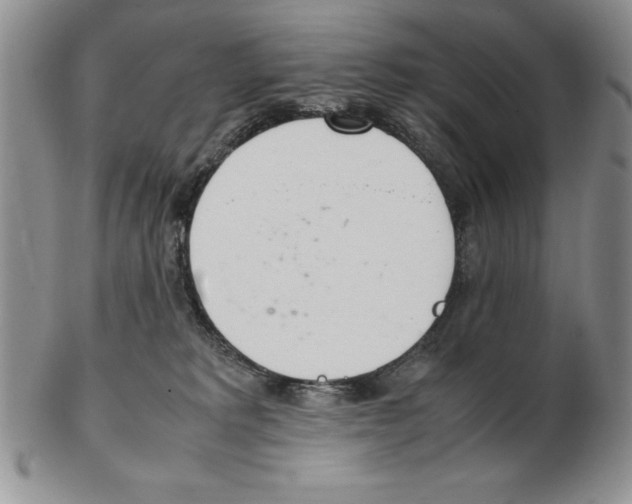 X0000102260229200808221422