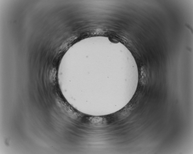 X0000102260230200808221422