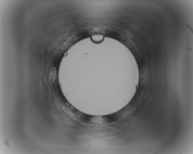X0000102260231200808221422