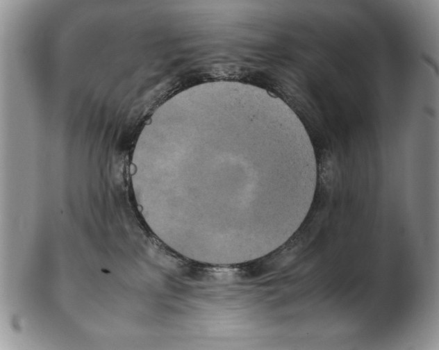 X0000102260233200808221422