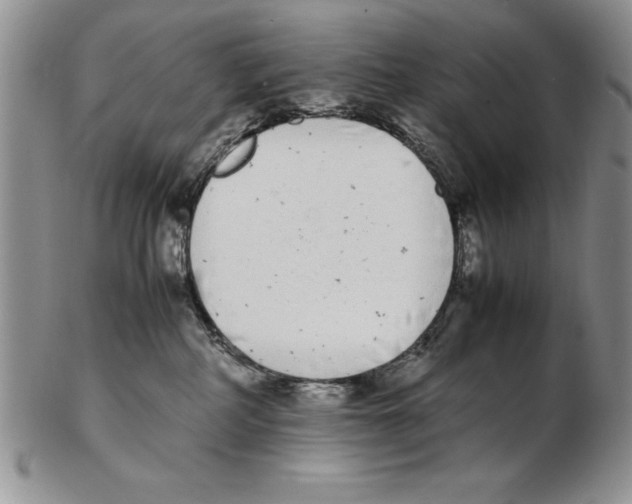 X0000102260234200808221422