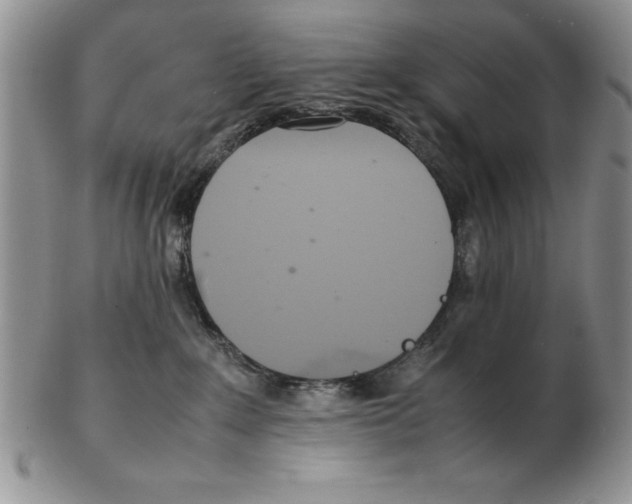 X0000102260235200808221422
