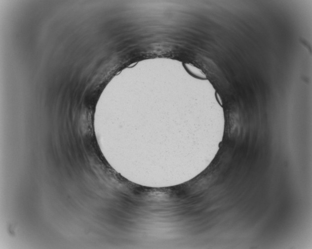 X0000102260236200808221422