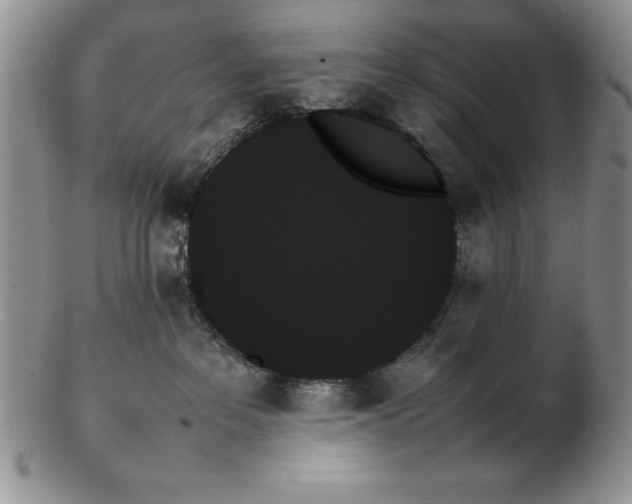 X0000102260237200808221422