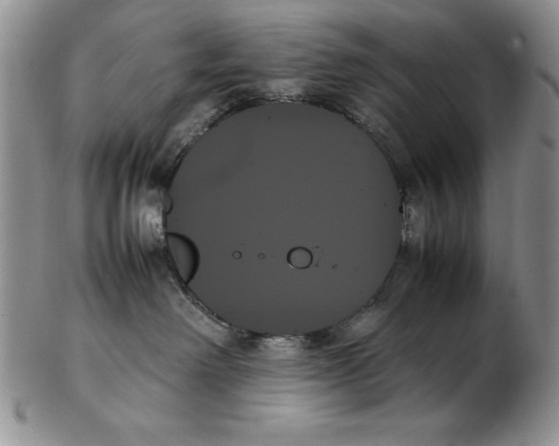 X0000102260238200808221422