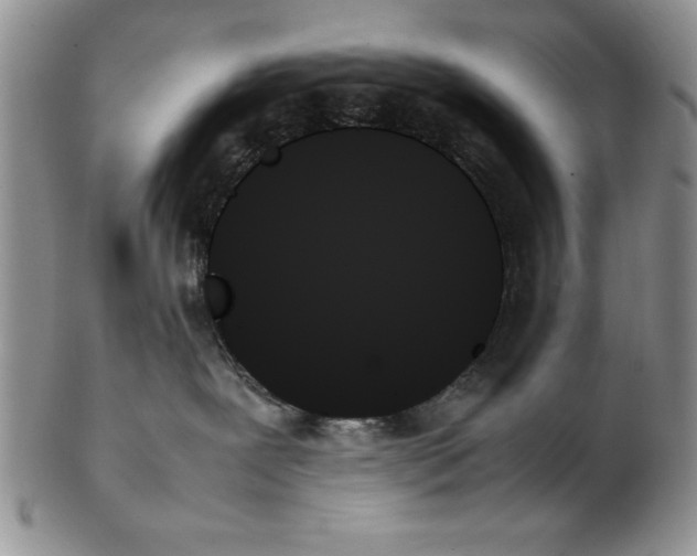 X0000102260239200808221422