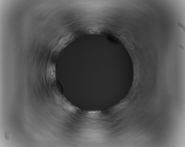 X0000102260240200808221422