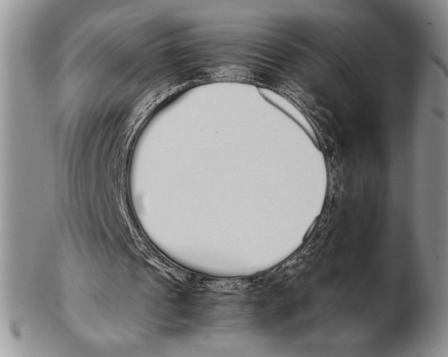 X0000102260241200808221421